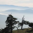 Herbstblick vom Kohlröserlhaus in Richtung Semmering