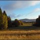 Herbst - Halloween