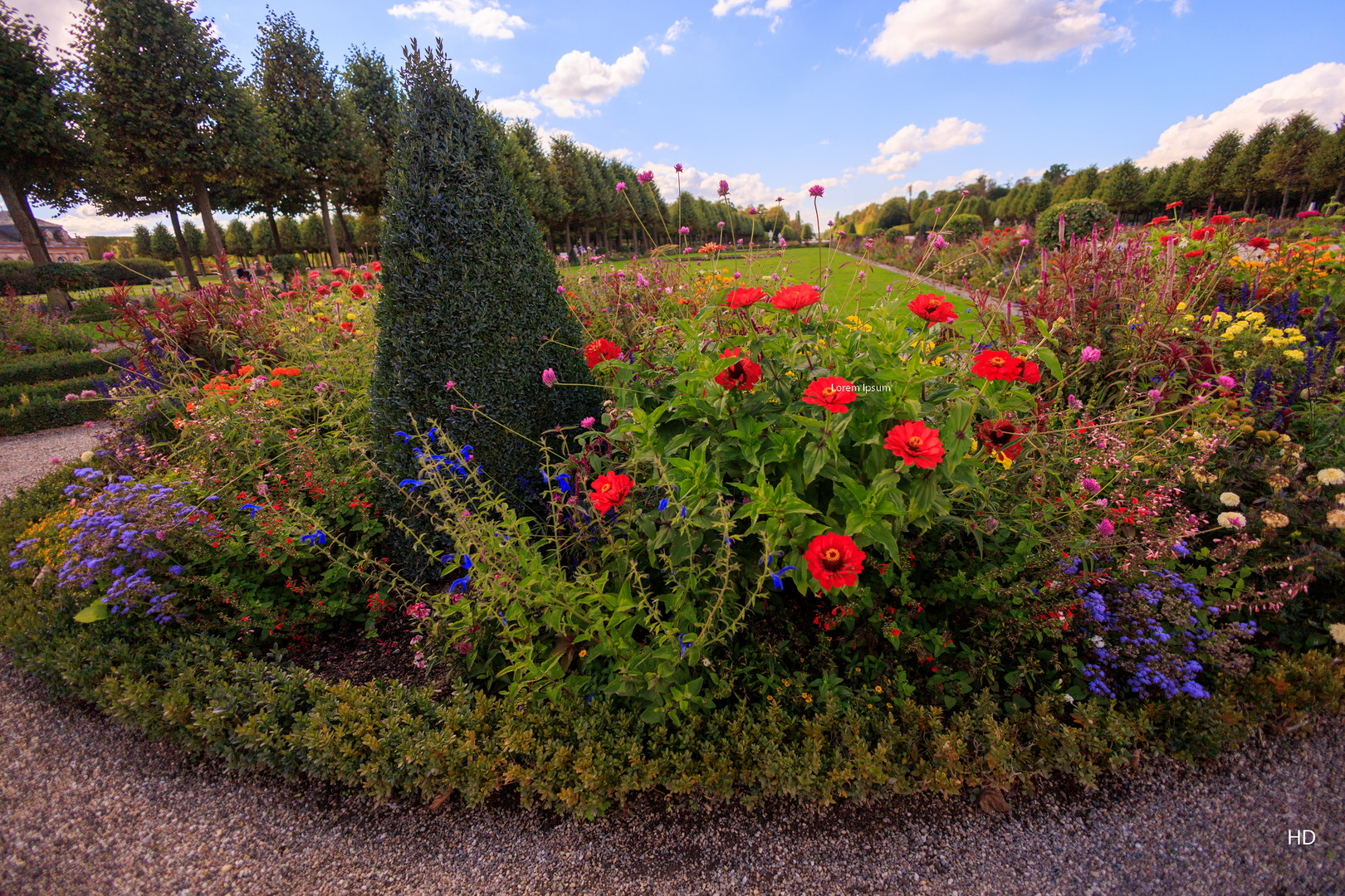 Herbstblüher des  Schlossgartens