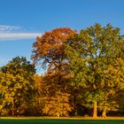 Herbstblues