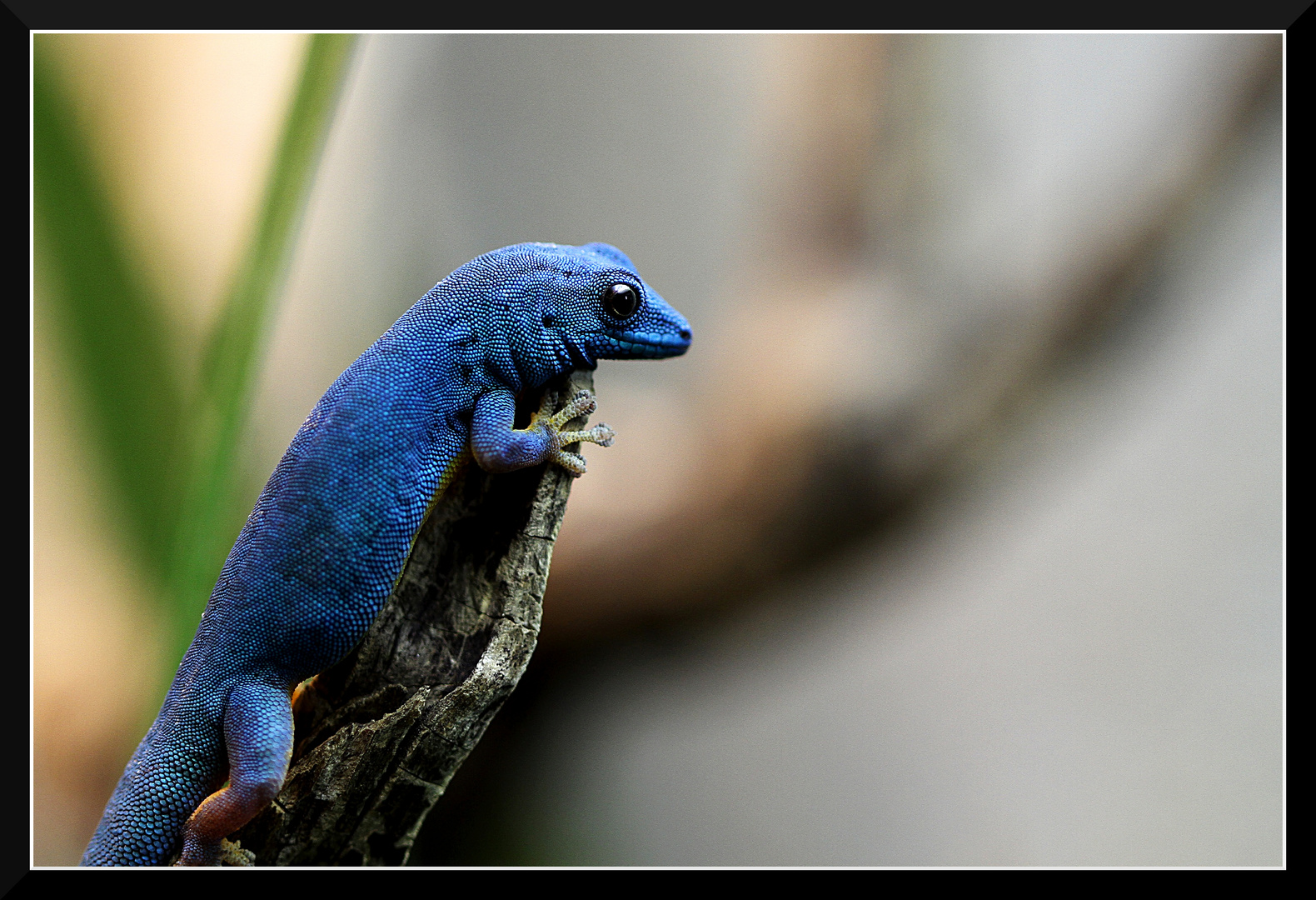 Herbstblue(s)