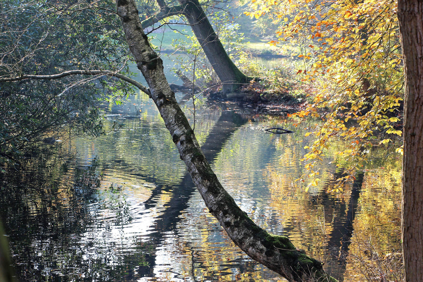 Herbstblues