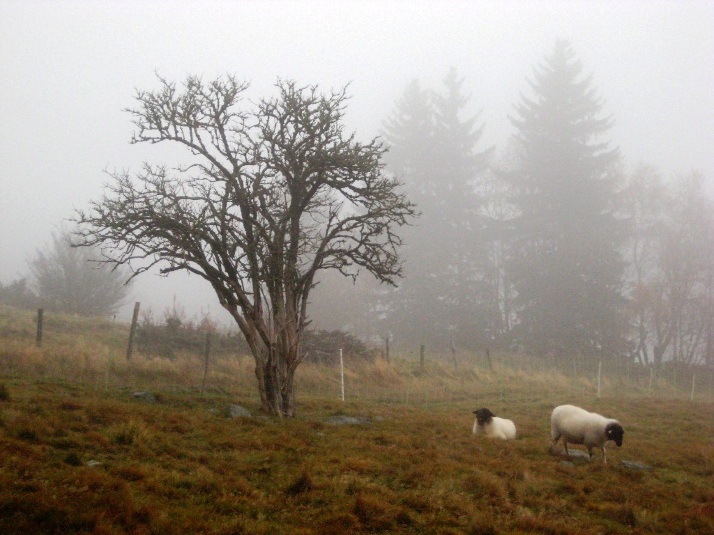 Herbstblues