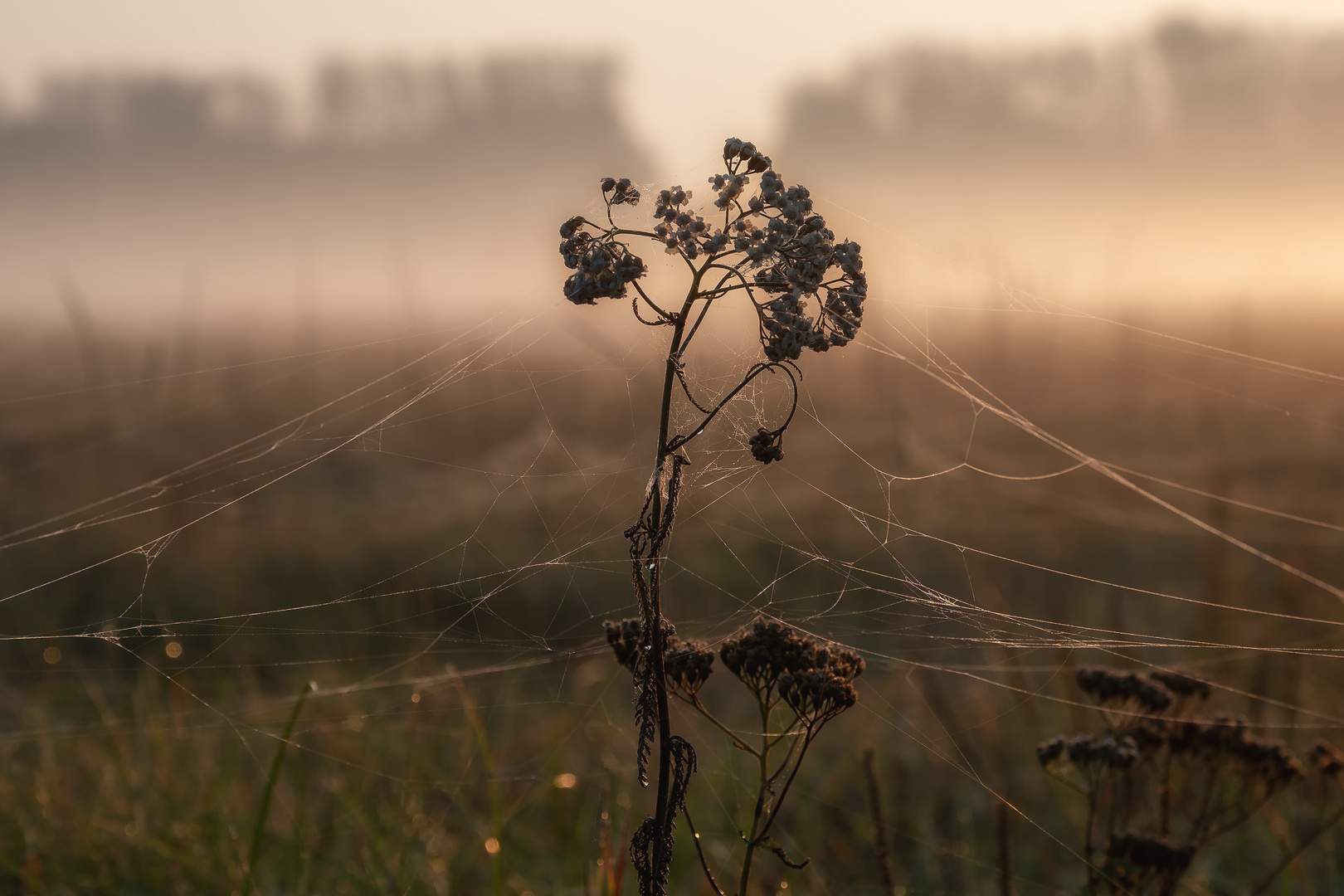 Herbstblues