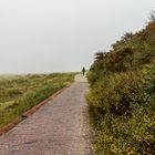 Herbstblues Borkum