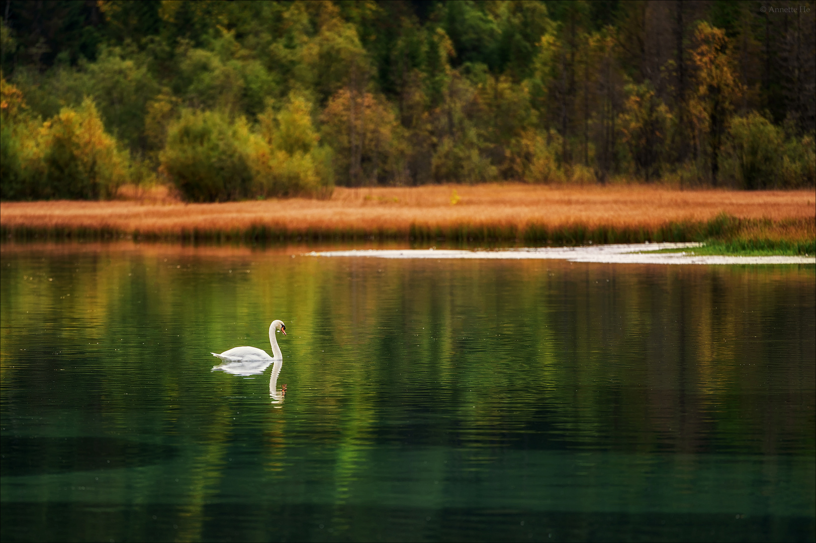 Herbstblues