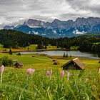 Herbstblüten