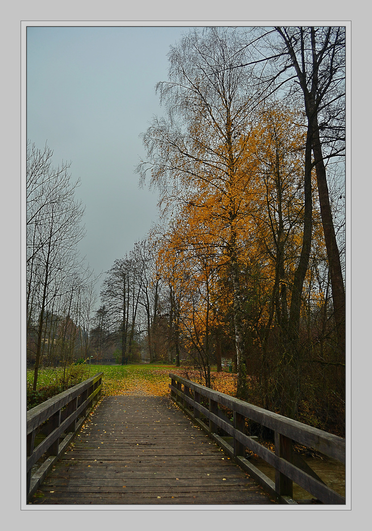 Herbstblüten