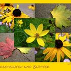 Herbstblüten und Blätter