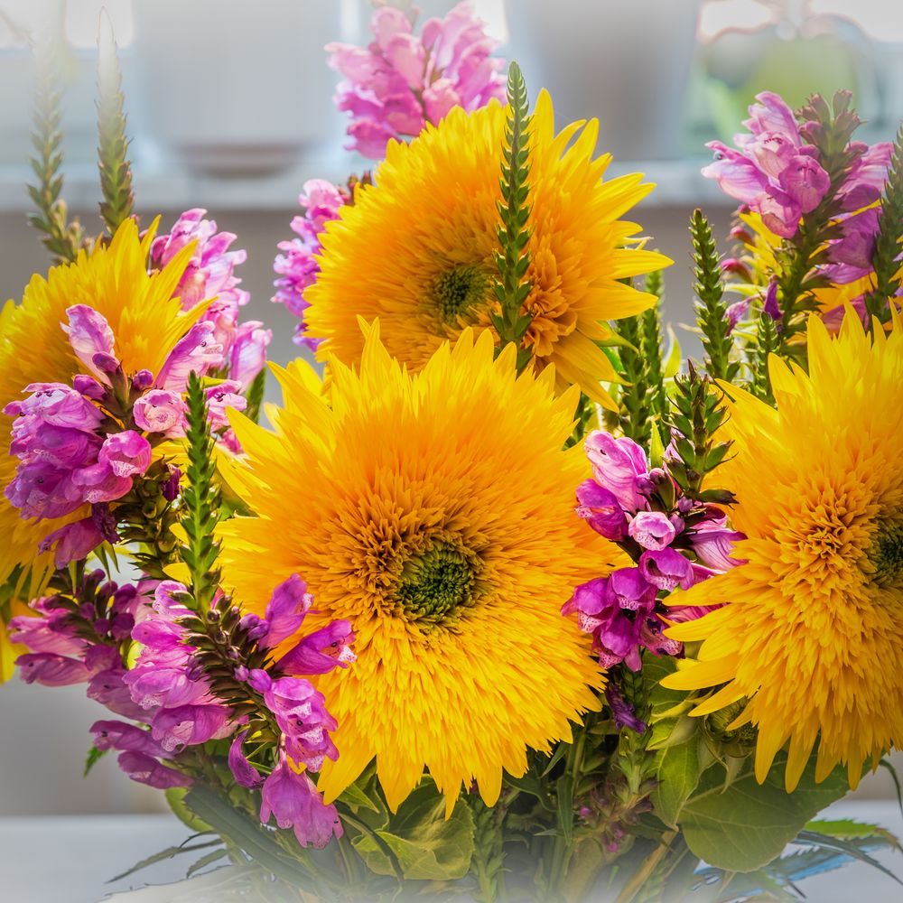 Herbstblumen Foto & Bild stillleben, arrangierte szenen, blumenstrauß