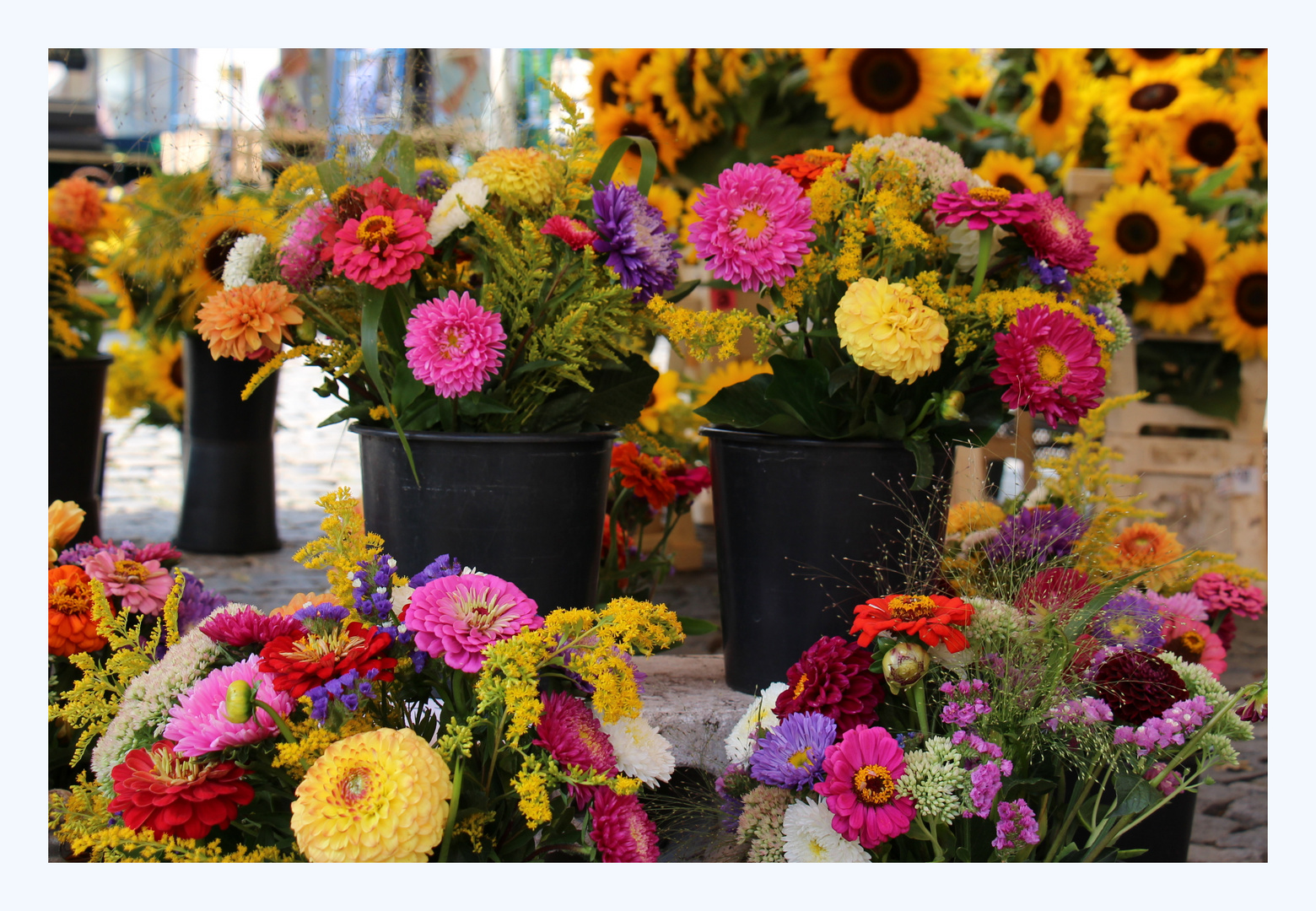 Herbstblumen