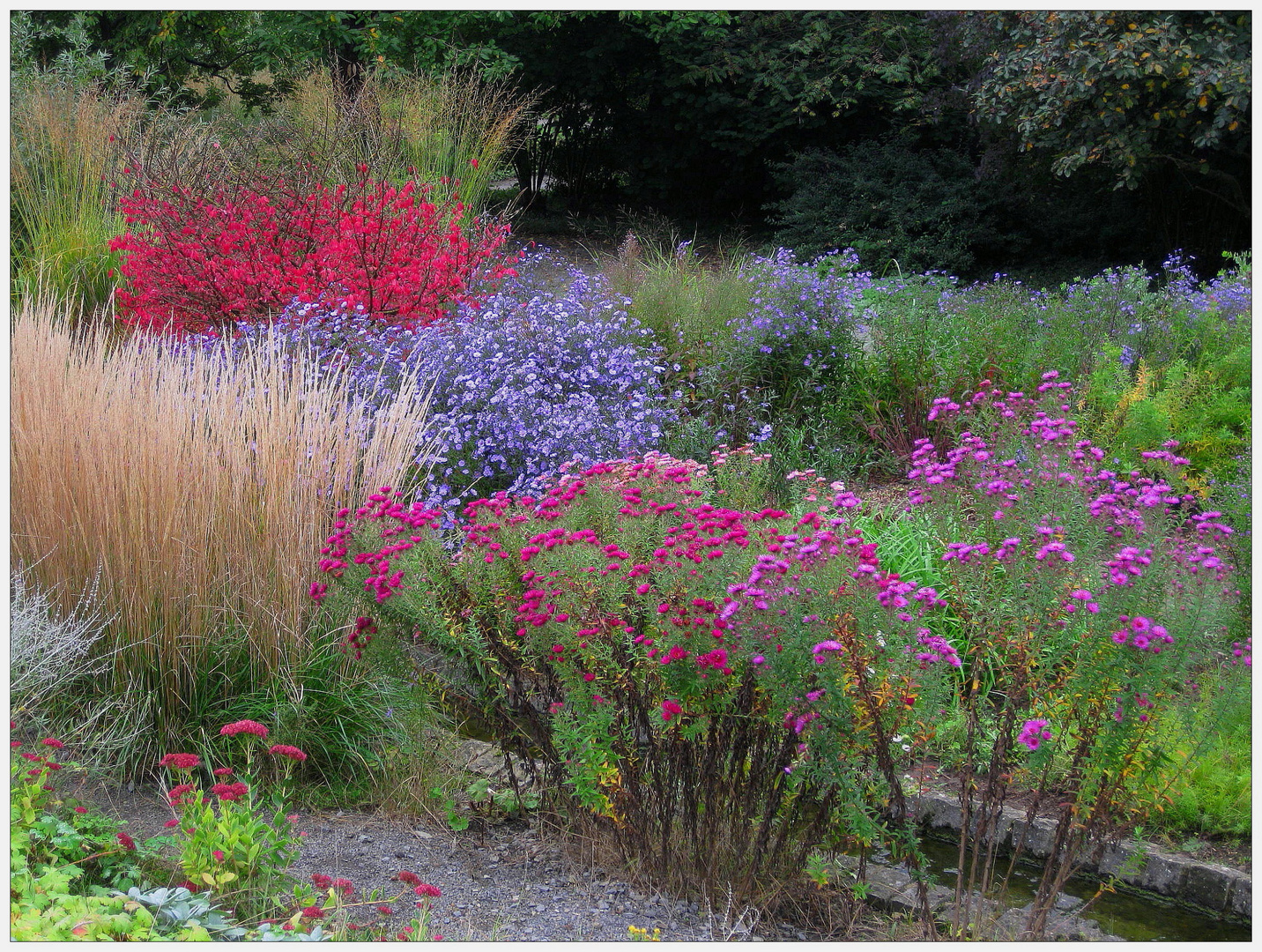 Herbstblumenbeet