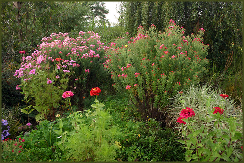 Herbstblumenstrauß