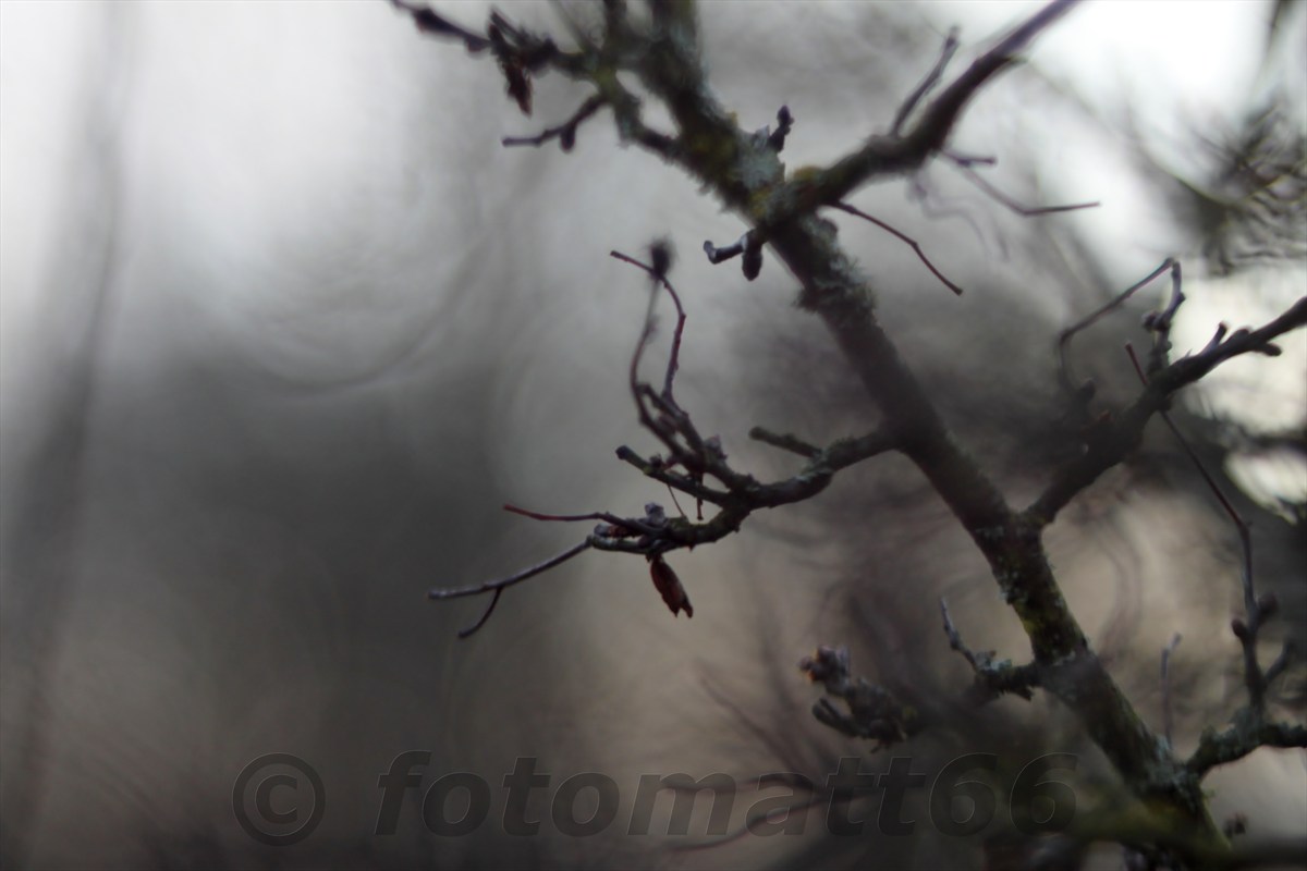 Herbstbokeh