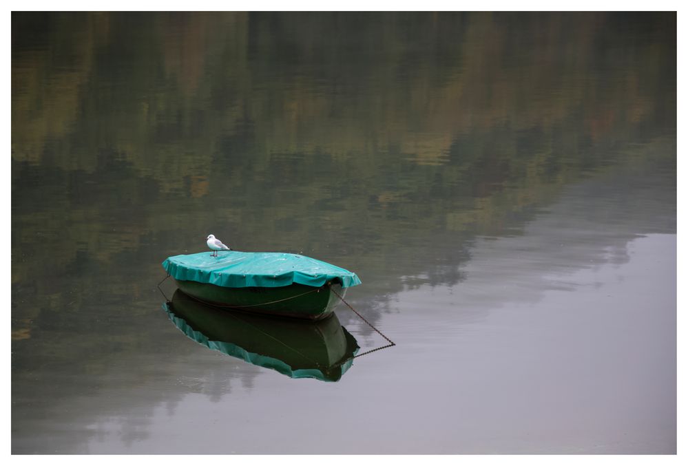 Herbstboot mit Möwe