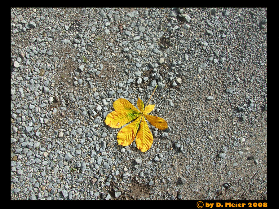 Herbstbote