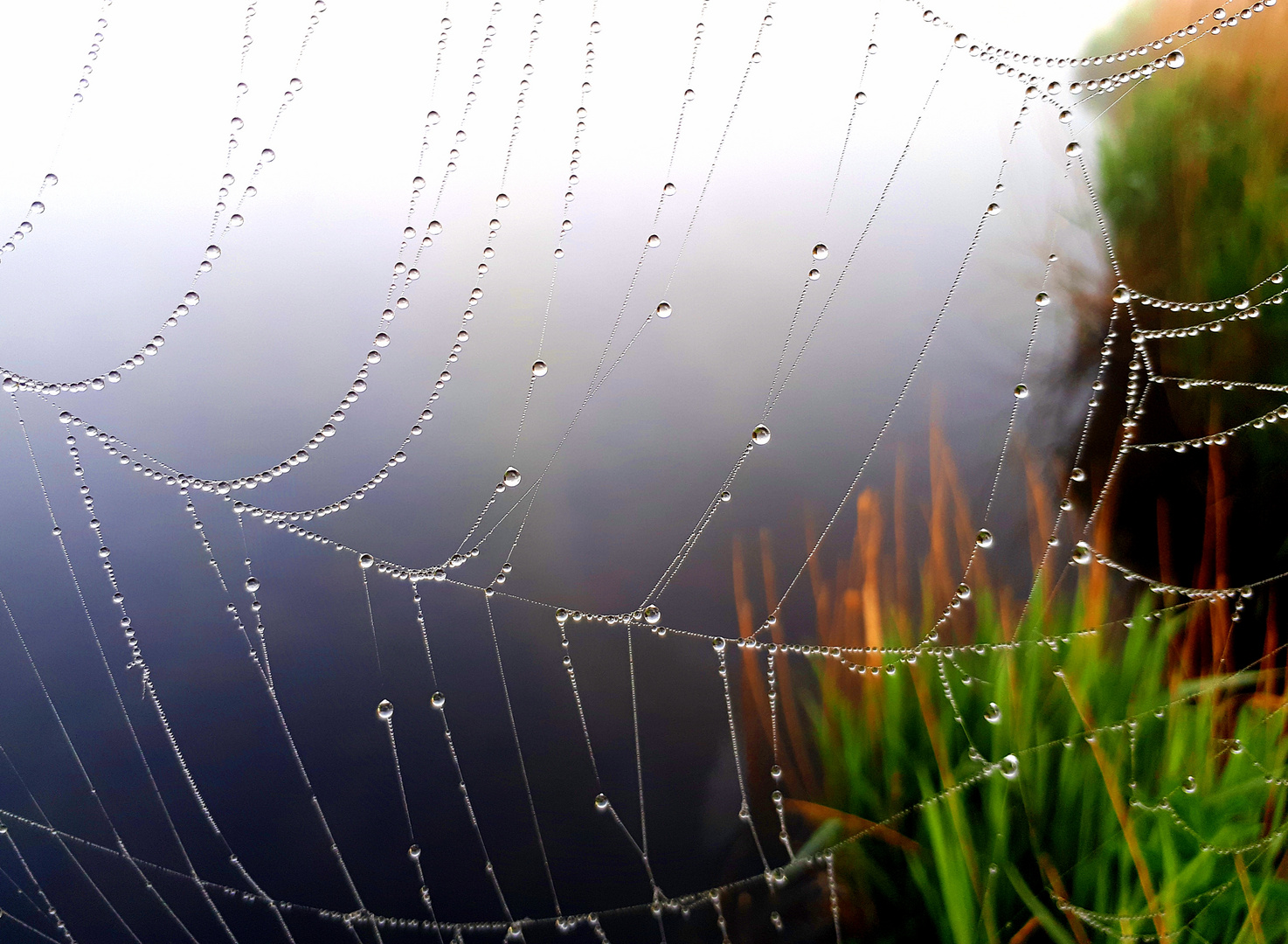 Herbstbote