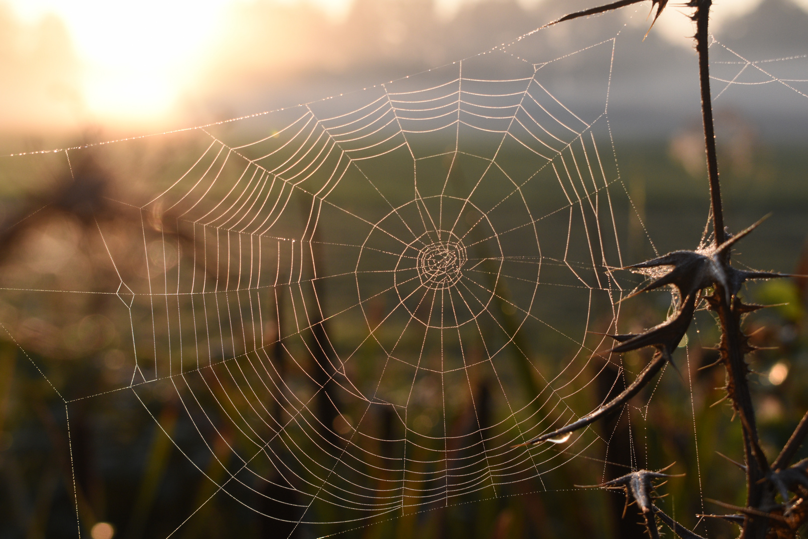 Herbstboten...