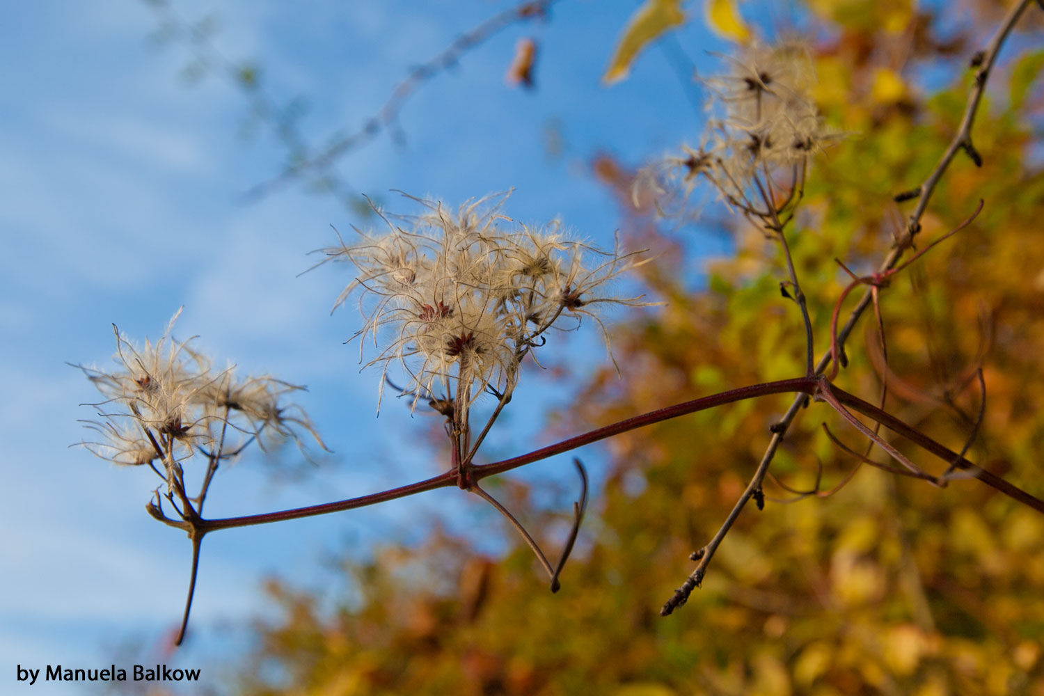 Herbstboten