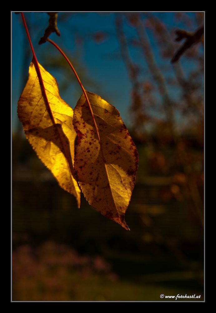 Herbstboten