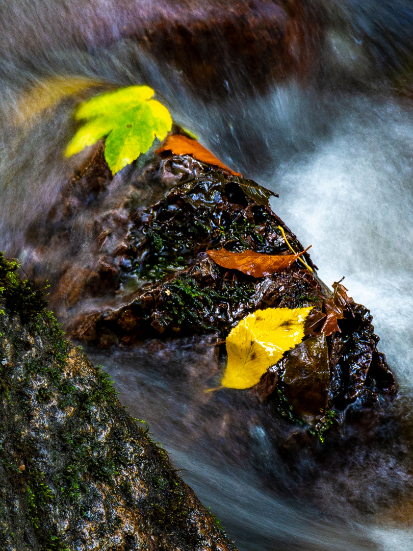 Herbstboten