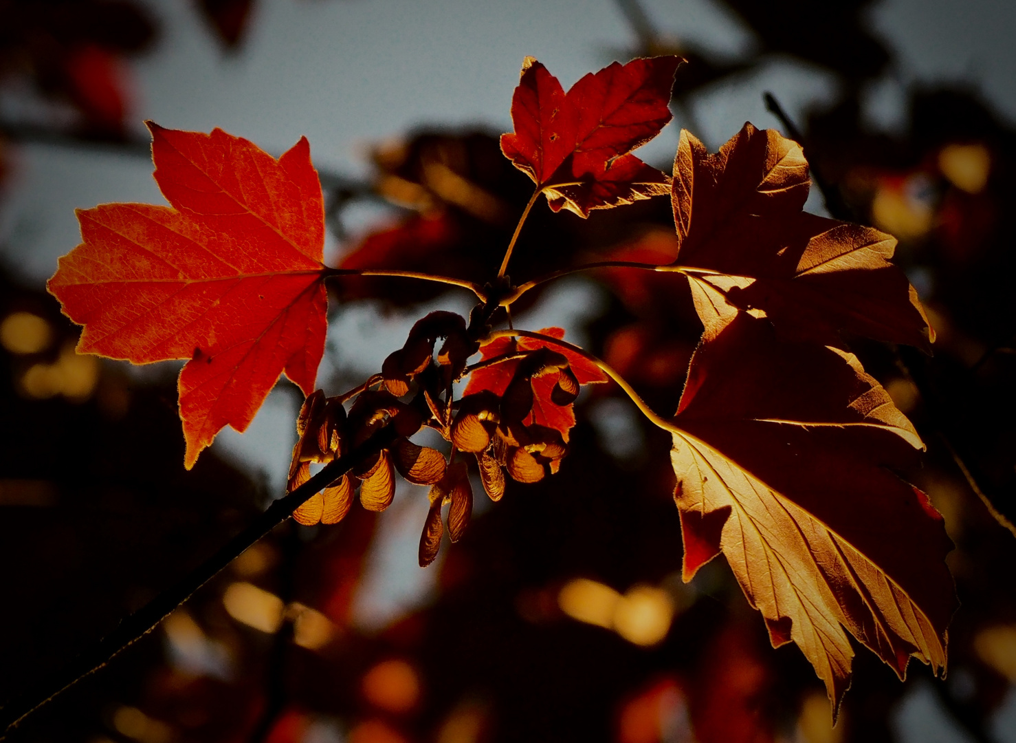 Herbstboten