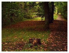 Herbstboten.