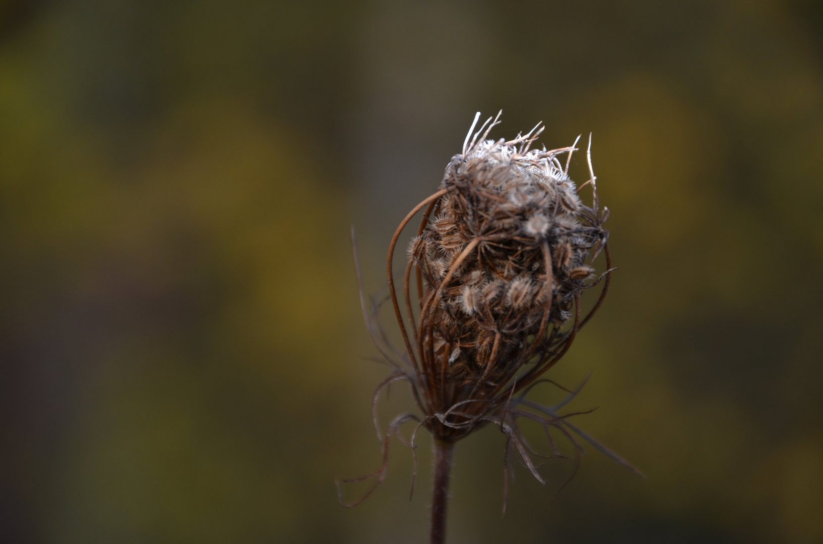 Herbstboten