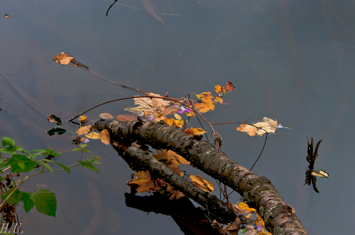 Herbstboten