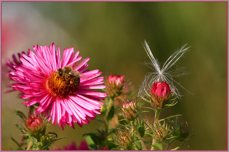 Herbstboten