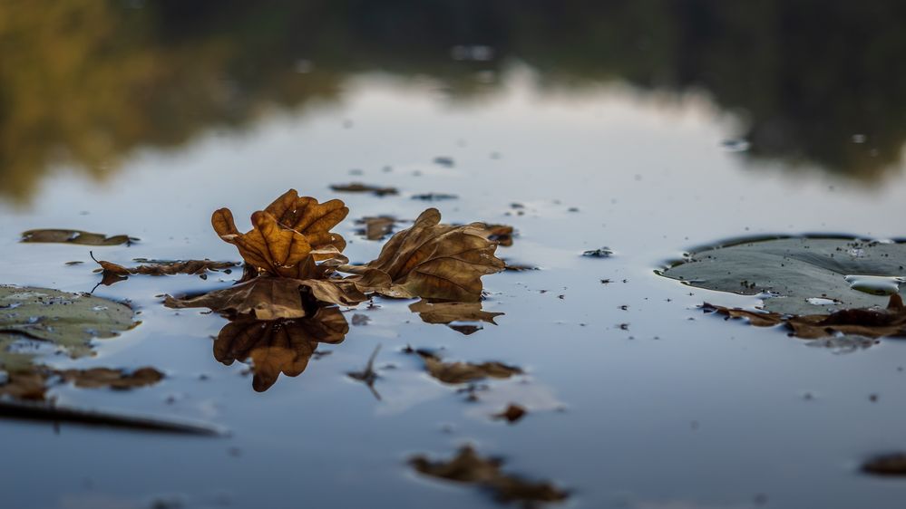 Herbstboten