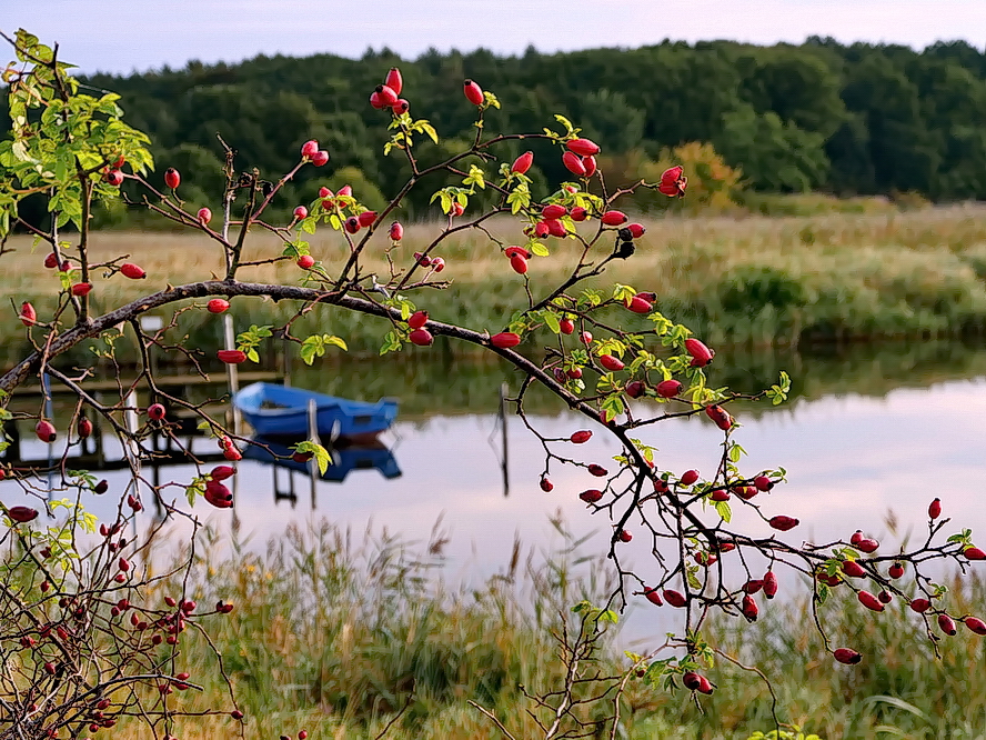 Herbstboten