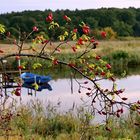 Herbstboten