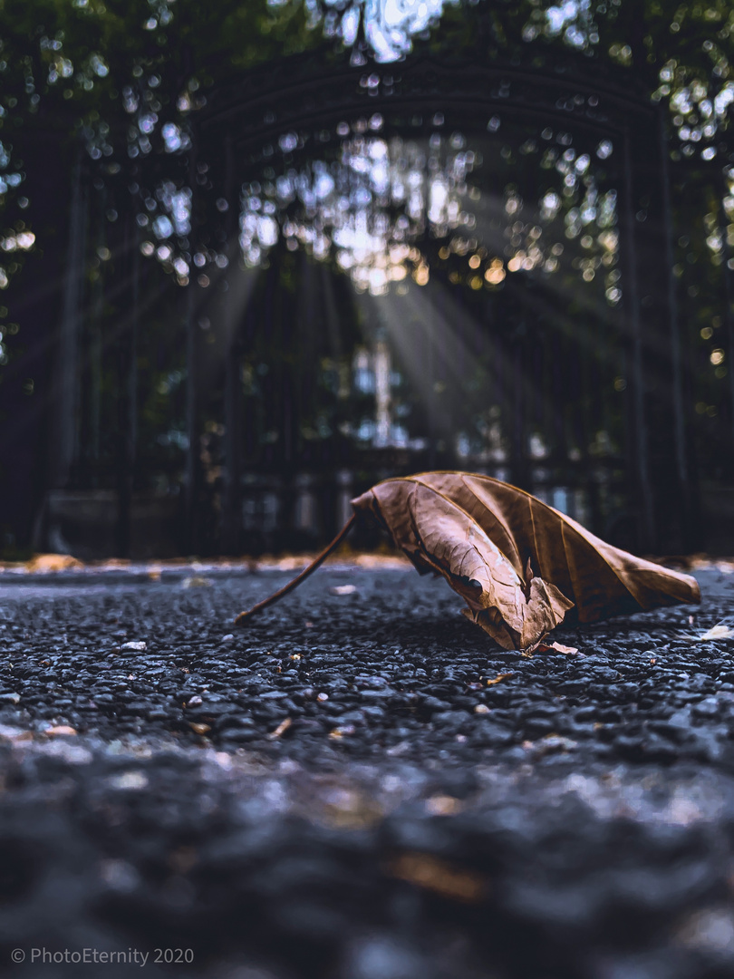 Herbstboten 