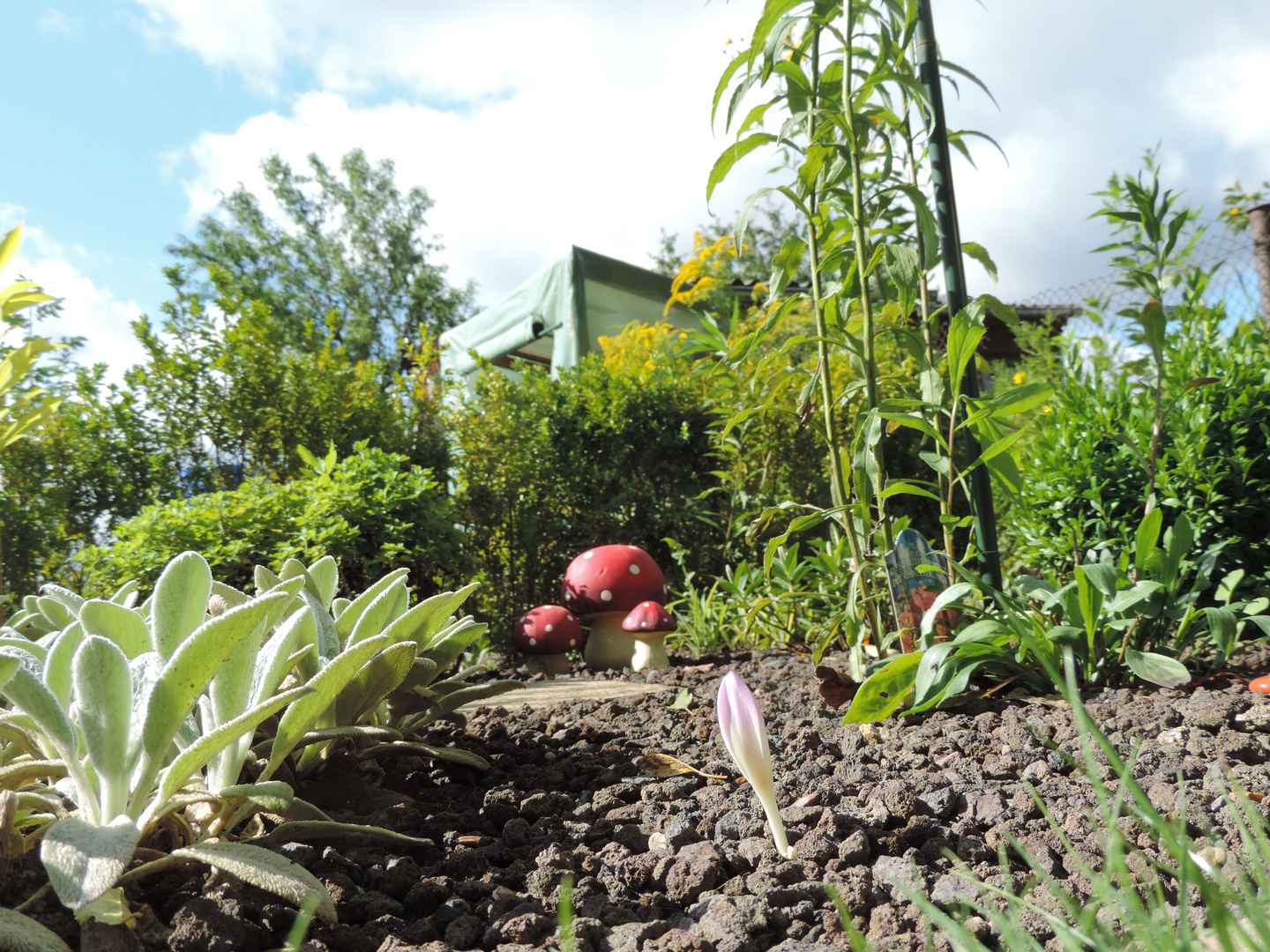 Herbstboten