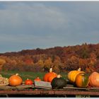 Herbstboten ?