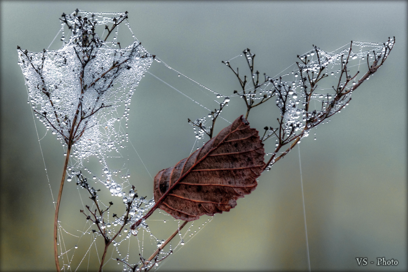 ~ Herbstboten ~