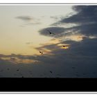 Herbstboten.......Sturmwarnung an der Nordseeküste......