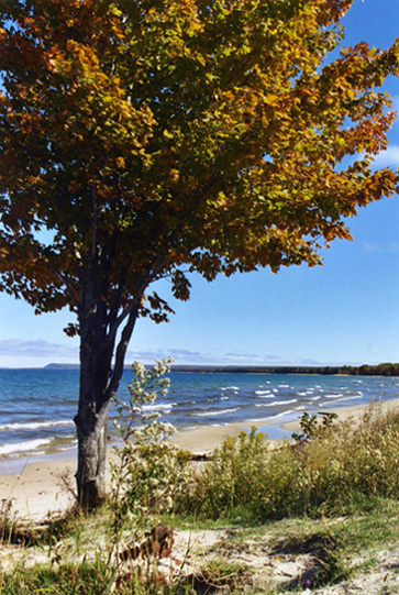 Herbstbrise am See