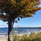 Herbstbrise am See