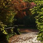 Herbstbrücke