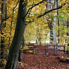 Herbstbrücke