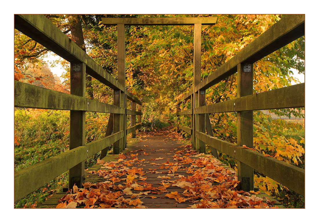 Herbstbrücke