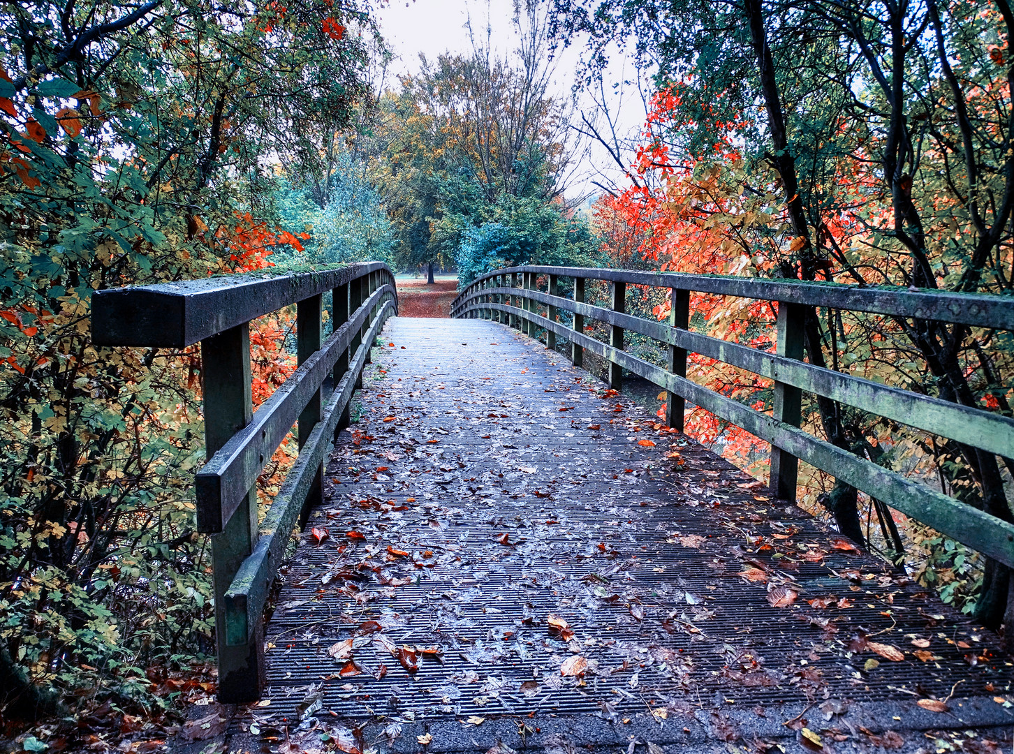 Herbstbrücke