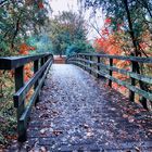 Herbstbrücke