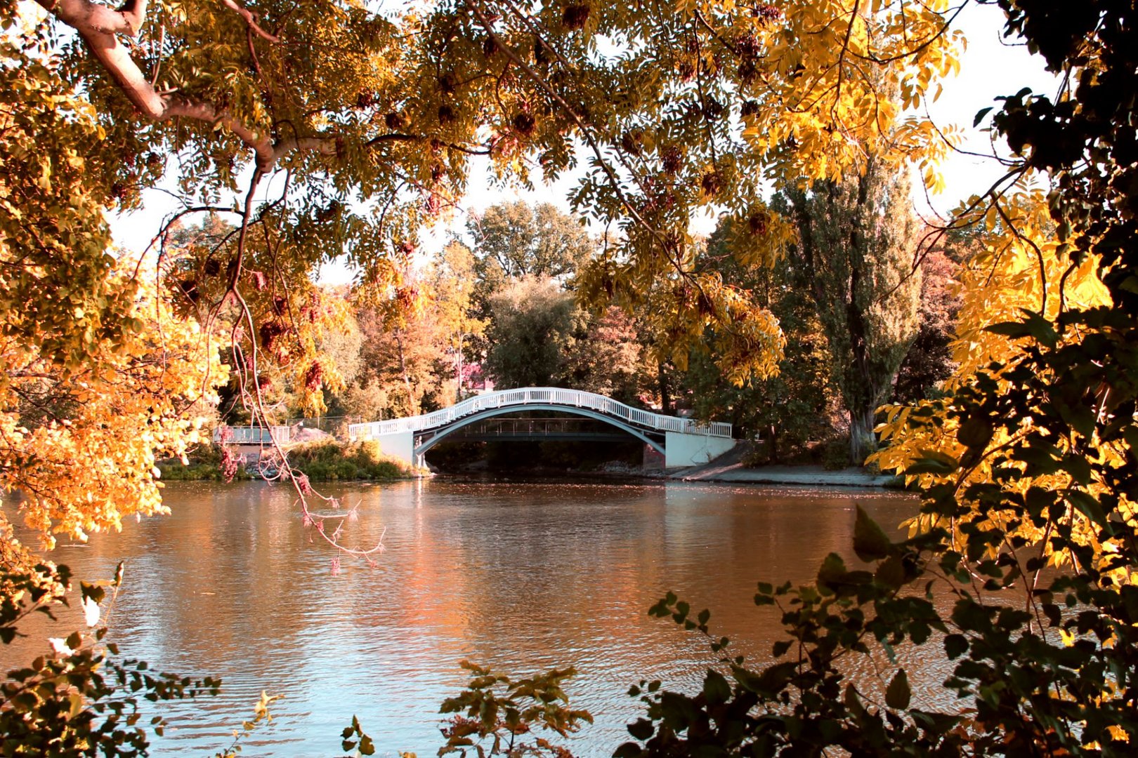 Herbstbrücke