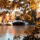 Herbstbrücke