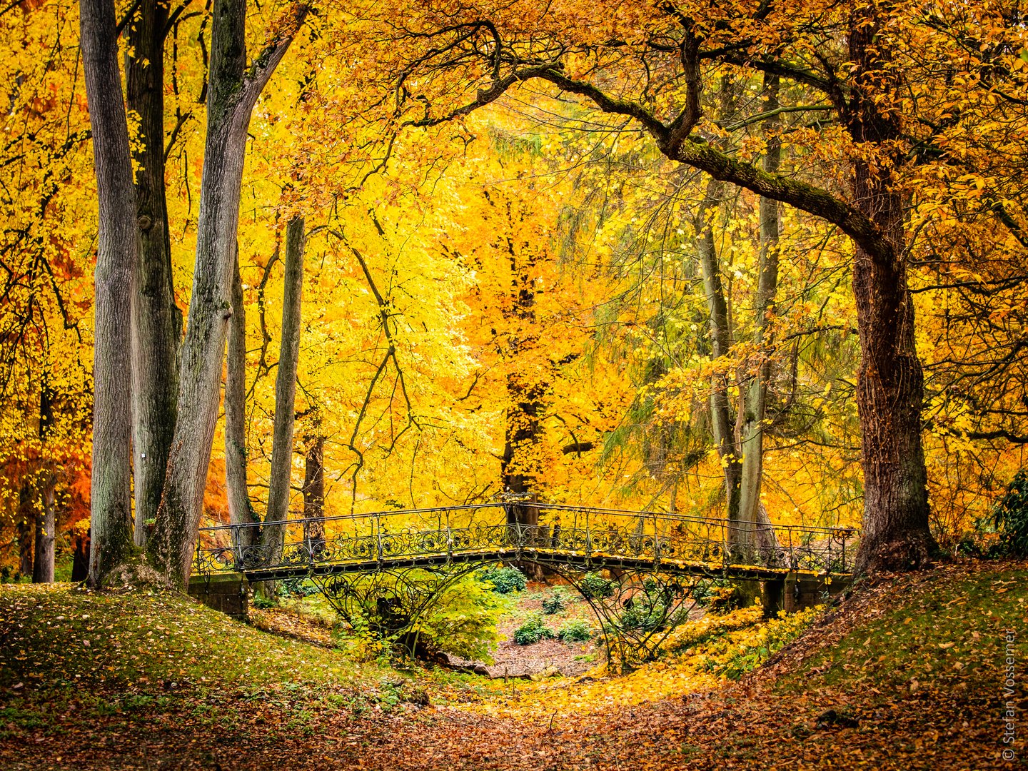 Herbstbrücke