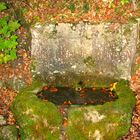 Herbstbrunnen