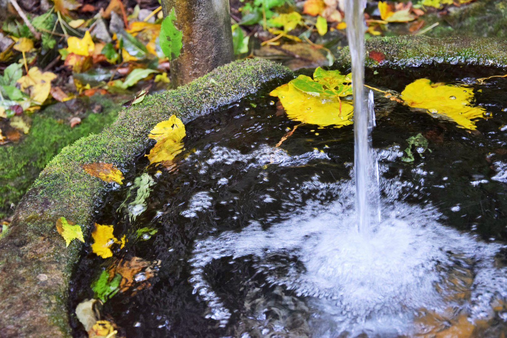 Herbstbrunnen